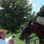Leah McPike Ernst - @mr_n_mrs_godfrey_ - Instagram