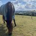 Leah Everson - Facebook