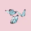 leah.faust.17879 - @leah.faust.17879 - TikTok