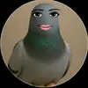 leah ferris - @leahferris - TikTok