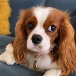 Leah Flints - @leahflints - Instagram