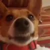 Leah Galloway - @knockoffbritneyspearsx - TikTok