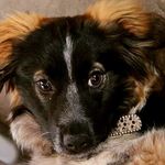 Leah300 - @leahhalstead - Instagram
