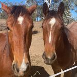 Leah N Stretch Halstead - @leahnstretch - Instagram
