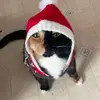 leahharman5 - @leahharman5 - TikTok