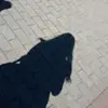 Lea Harms - @leaharms2 - TikTok
