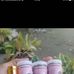 Liiyaa Haris - Facebook