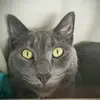 leahholcomb - @life_of_millieee - TikTok