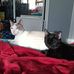 Leah Irwin - Facebook