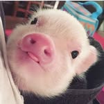 Leah - @leah.joy.90 - Instagram