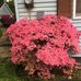 Leah Kern - Facebook