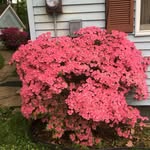 Leah Kern - @yixile7489 - Instagram