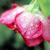 Leah Kirkpatrick - Facebook