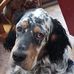 Leah Kirkpatrick - Facebook