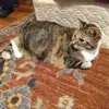leahknapp132 - @leahknapp132 - TikTok
