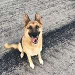 Leah - @leahkoch107 - Instagram