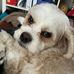 Leah Lasco - Facebook