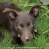 Leah Latham - @leelalath - TikTok