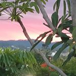 Leah Latham - @leah_latham2.0 - Instagram