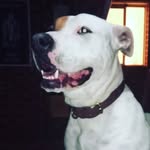 lee-lee - @leah.latham67220 - Instagram