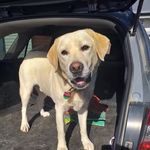 Leah Lemon - @leah.lemon.56 - Instagram