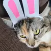 leah.lemon - @leahluna - TikTok