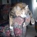 Leah J Lerner - Facebook