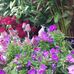 Leah Lerner - Facebook