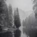 Lea Levesque - Facebook