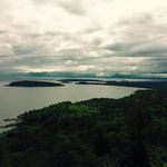 Leah Blake Levin - @leah.levin - Instagram
