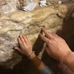 Leah Groner-Levin - @lglevin - Instagram