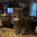 Leah Levin - Facebook