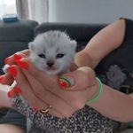 Leah L. - @leahludwig96 - Instagram