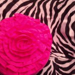 Leah Ludwig - @froggy_luv123 - Instagram