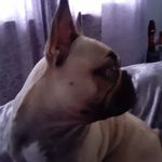 Leah Mcfarlane - @leah.mcfarlane.7737 - Instagram