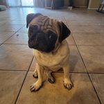 leah Meeks - @leahmeeks8 - Instagram