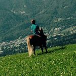 Leah Meier - @passion_rider - Instagram