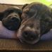 Leah Miles - Facebook