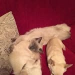 Leah Millar - @millar.leah - Instagram