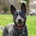 Leah Moyer - Facebook