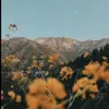 megan.leah.murrell - @meganleahmurrell - TikTok
