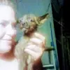Bambi - @leaheneely - TikTok