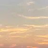 Leah Neely - @leah.neely - TikTok