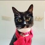 Leah Neumann - @leahbug.neumann - Instagram