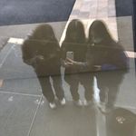 Leah Nilsson - @leah_priv03 - Instagram