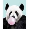 leah.panda - @leah.nilsson - TikTok
