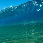 Leahnutts112 - @leahnutt112 - Instagram