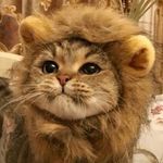 Leah Pepper - @the_lord_of_bookleflop - Instagram