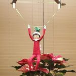 Leah Peppermint Snowflake EOTS - @eots_leah_peppermint_snowflake - Instagram