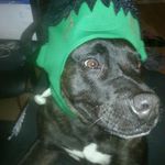 Leah Porter - @totallyawsome1290 - Instagram